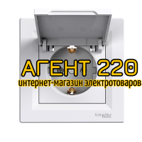 Розетка с заземлением с крышкой белая Asfora