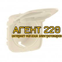 Накладка розетки 2К+З с кришкой слоновая кость Legrand Valena ALLURE