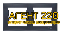 Рамка 2-постовая графит Sedna